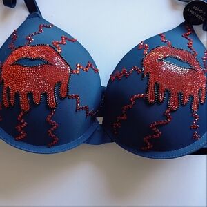 Embroidered Blue and Red Women's Bra